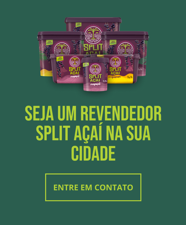 Sorbet Original Split Açaí Pote 1,5l